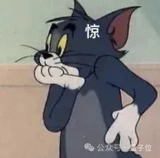 英伟达GPU被SpaceX送上太空！在天上训练卡帕西的NanoGPT