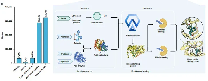 科学家推出全球首个酶-底物三维复合体数据库，酶工程进入超高预测的AI时代！