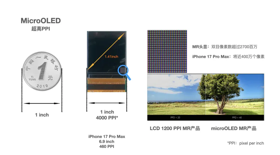 从推荐算法优化到AI4S、Pico和大模型，杨震原长文揭秘字节跳动的技术探索