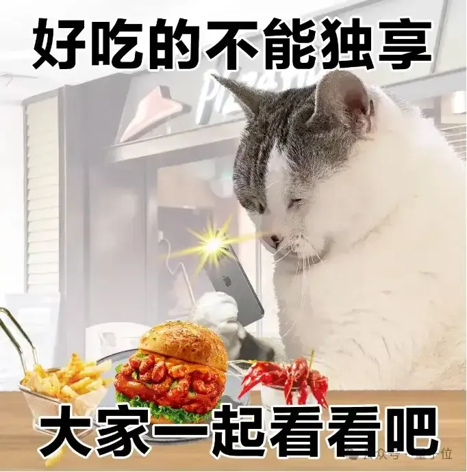 开放全栈！超越π0，具身智能基础大模型迎来真·开源，开发者狂喜