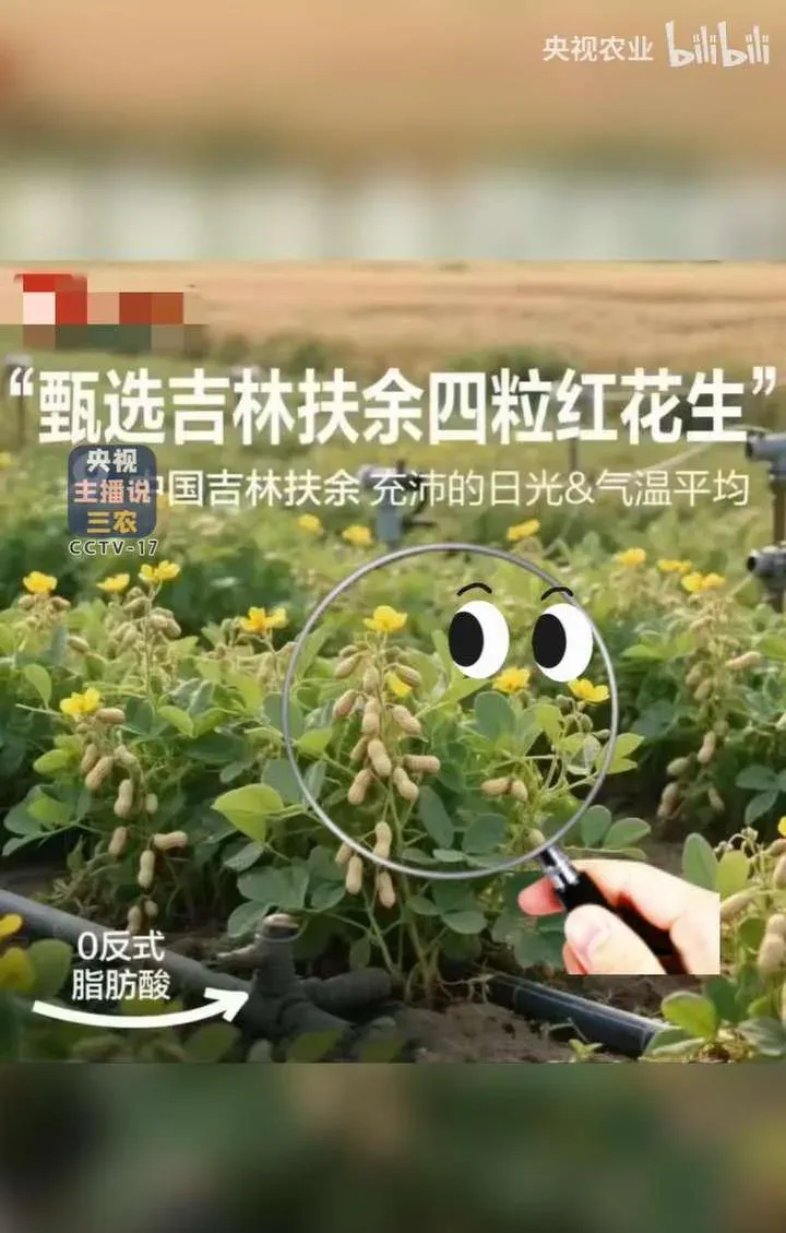 花生上树了?AI 竟然敢这么玩