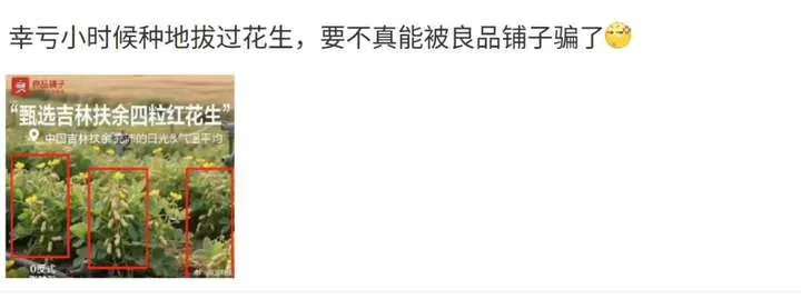 花生上树了?AI 竟然敢这么玩