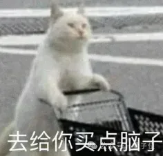 对话逐际动力张巍：造机器人很容易，关键是用起来