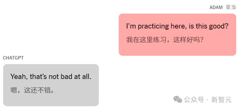 16岁少年之死震惊全球，母亲状告ChatGPT杀了我的儿子！万字死亡对话爆出